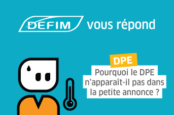 actu-dpe-petite-annonce-immobiliere